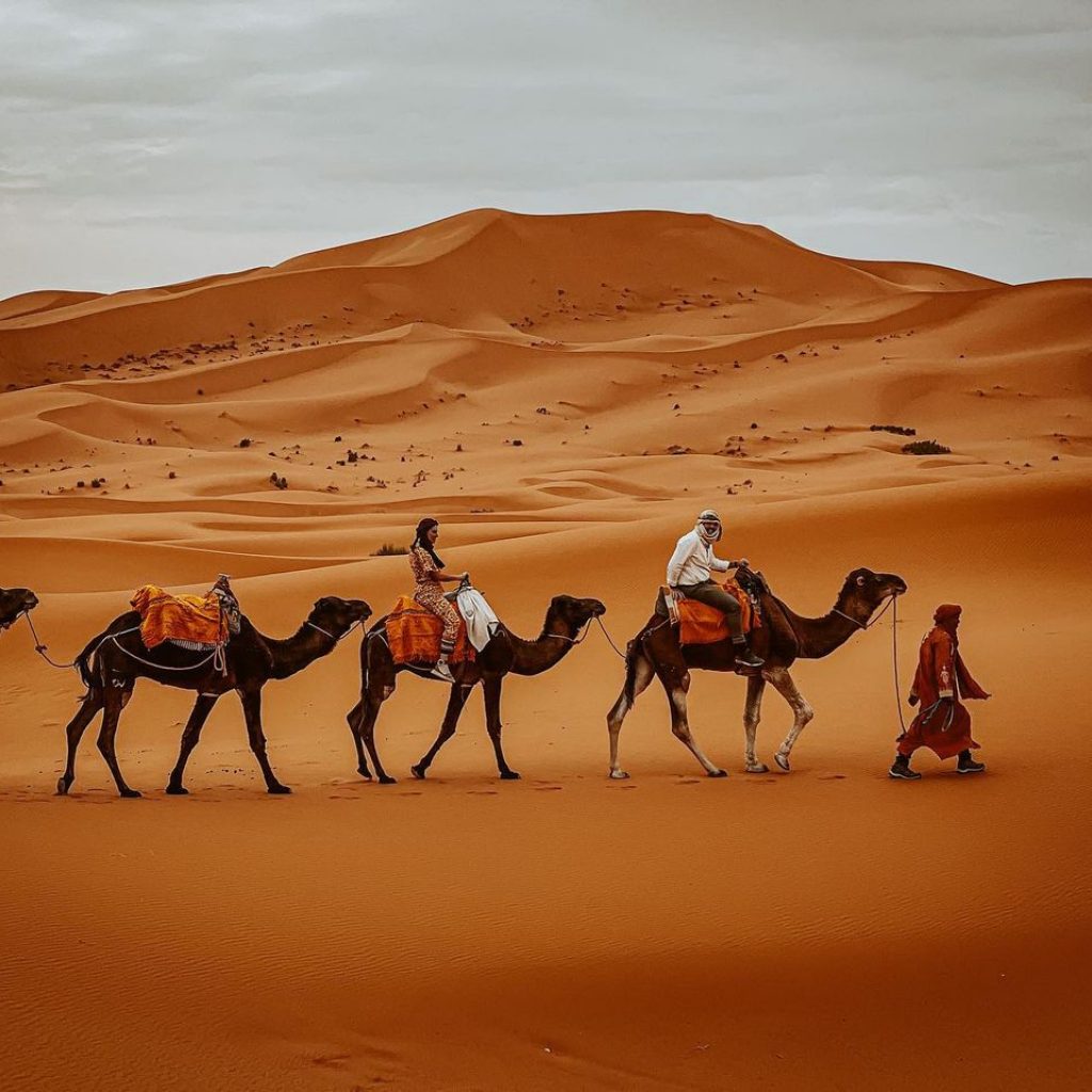Morocco desert tours from Marrakech 