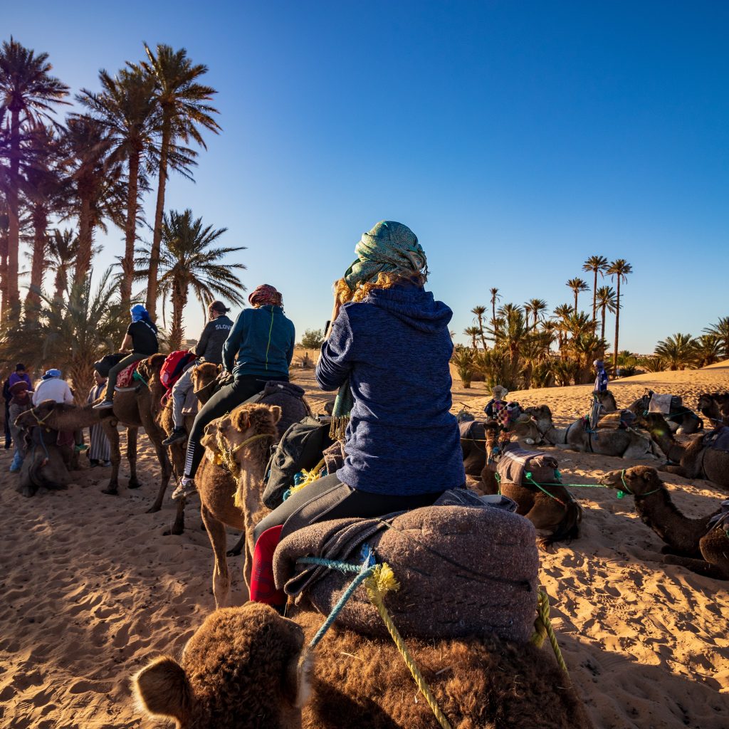 Camel Ride in Sahara Desert 